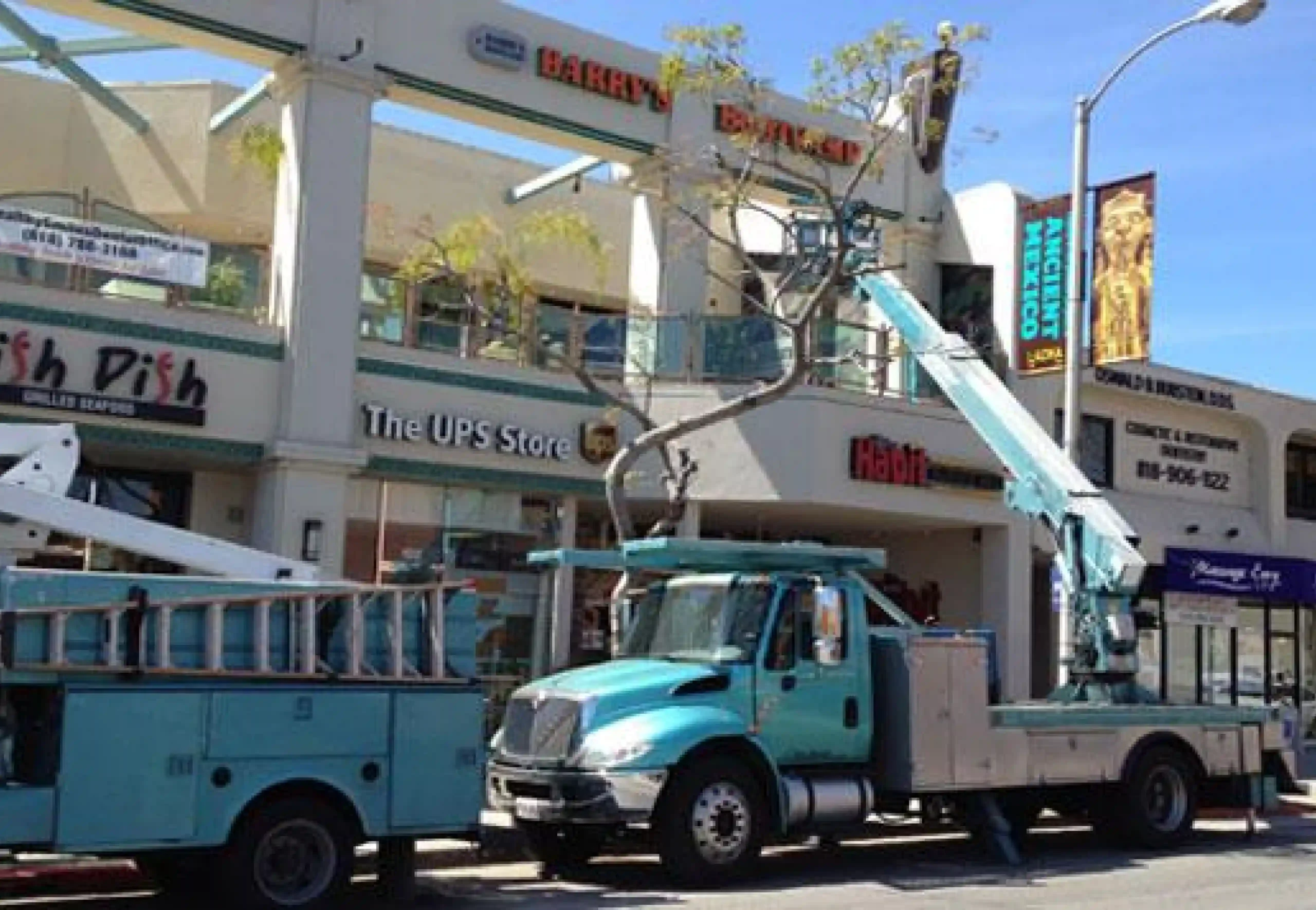 Expert business sign repair to restore visibility and functionality.